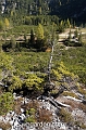 wbgarden alps 39a